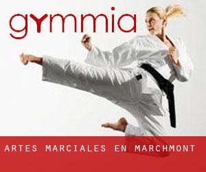Artes marciales en Marchmont