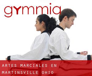 Artes marciales en Martinsville (Ohio)