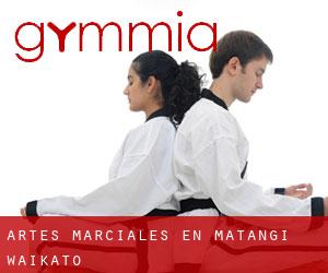 Artes marciales en Matangi (Waikato)