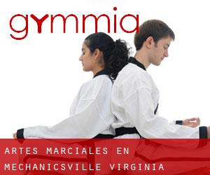 Artes marciales en Mechanicsville (Virginia)