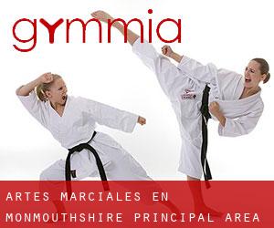 Artes marciales en Monmouthshire principal area