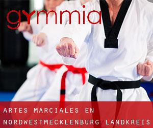 Artes marciales en Nordwestmecklenburg Landkreis