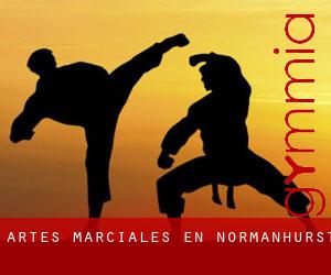 Artes marciales en Normanhurst