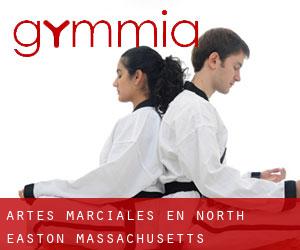Artes marciales en North Easton (Massachusetts)