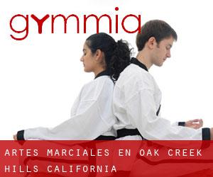 Artes marciales en Oak Creek Hills (California)
