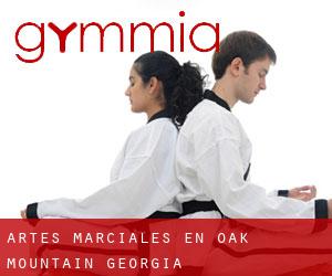 Artes marciales en Oak Mountain (Georgia)