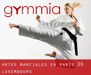 Artes marciales en Paris 06 Luxembourg