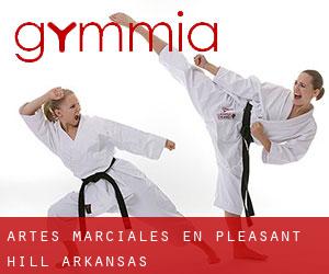 Artes marciales en Pleasant Hill (Arkansas)