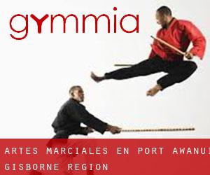 Artes marciales en Port Awanui (Gisborne Region)