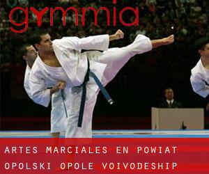 Artes marciales en Powiat opolski (Opole Voivodeship)