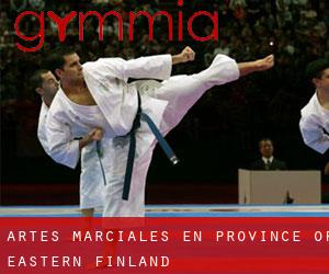 Artes marciales en Province of Eastern Finland