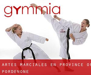 Artes marciales en Province of Pordenone