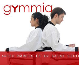Artes marciales en Saint-Sixte