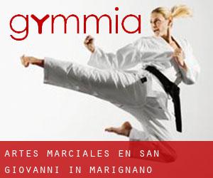 Artes marciales en San Giovanni in Marignano