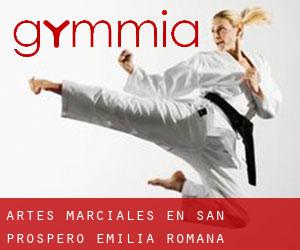 Artes marciales en San Prospero (Emilia-Romaña)