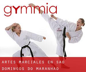 Artes marciales en São Domingos do Maranhão