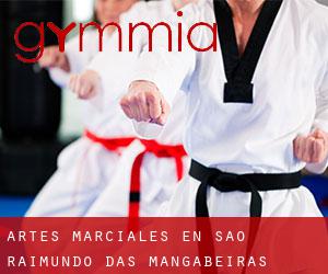 Artes marciales en São Raimundo das Mangabeiras