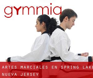 Artes marciales en Spring Lake (Nueva Jersey)
