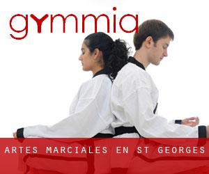 Artes marciales en St. Georges