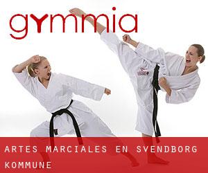 Artes marciales en Svendborg Kommune