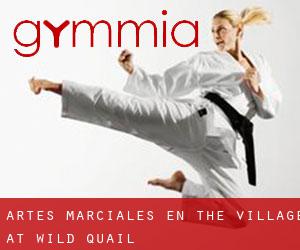 Artes marciales en The Village at Wild Quail