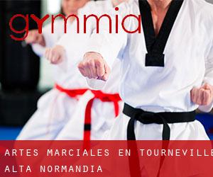 Artes marciales en Tourneville (Alta Normandía)