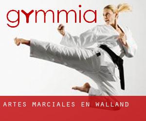 Artes marciales en Walland