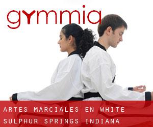 Artes marciales en White Sulphur Springs (Indiana)