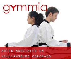 Artes marciales en Williamsburg (Colorado)