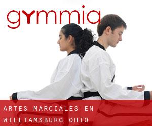 Artes marciales en Williamsburg (Ohio)