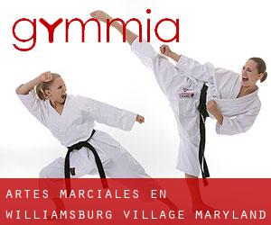 Artes marciales en Williamsburg Village (Maryland)