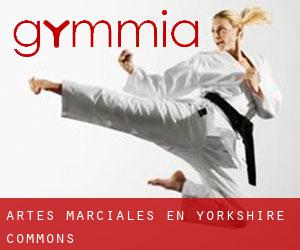 Artes marciales en Yorkshire Commons