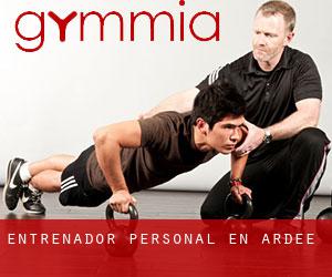 Entrenador personal en Ardee