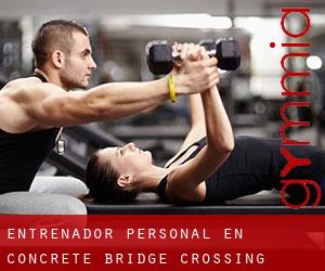 Entrenador personal en Concrete Bridge Crossing