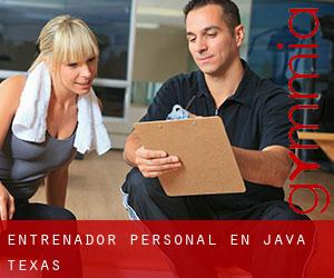 Entrenador personal en Java (Texas)