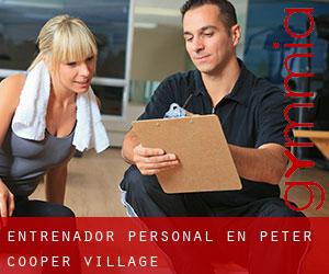 Entrenador personal en Peter Cooper Village