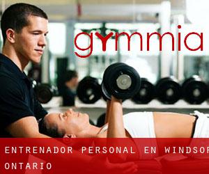 Entrenador personal en Windsor (Ontario) Entrenador personal en Windsor (Ontario)