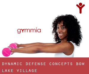 Dynamic Defense Concepts (Bow Lake Village)
