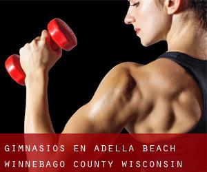 gimnasios en Adella Beach (Winnebago County, Wisconsin)