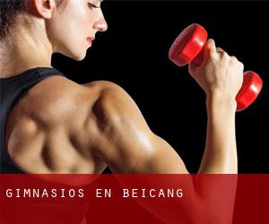 gimnasios en Beicang gimnasios en Beicang