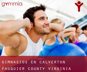 gimnasios en Calverton (Fauquier County, Virginia)