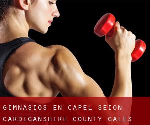 gimnasios en Capel Seion (Cardiganshire County, Gales)