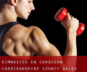 gimnasios en Cardigan (Cardiganshire County, Gales)