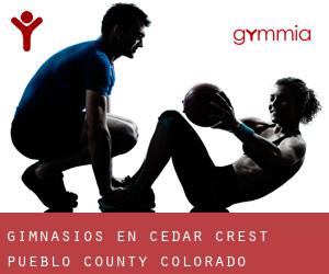 gimnasios en Cedar Crest (Pueblo County, Colorado)