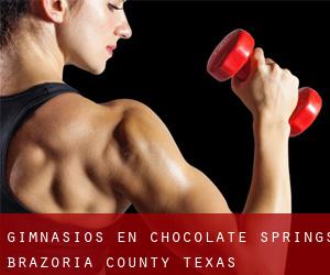 gimnasios en Chocolate Springs (Brazoria County, Texas)