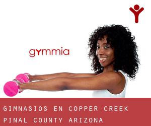 gimnasios en Copper Creek (Pinal County, Arizona)