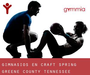 gimnasios en Craft Spring (Greene County, Tennessee)