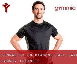 gimnasios en Diamond Lake (Lake County, Illinois)