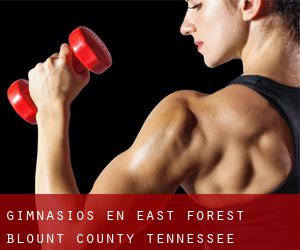 gimnasios en East Forest (Blount County, Tennessee)