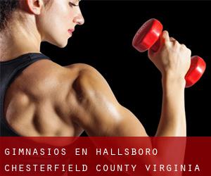 gimnasios en Hallsboro (Chesterfield County, Virginia)